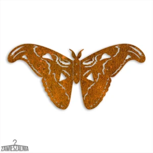 Zawieszalnia – 3D Wanddekoration Schmetterling Atlasspinner L 50 cm Corten-Stahl