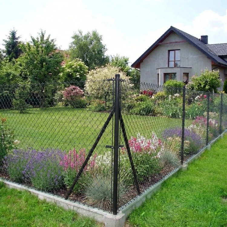 000-226 (4)